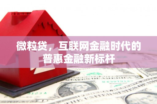 罗定微粒贷，互联网金融时代的普惠金融新标杆