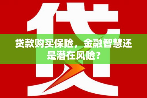罗定贷款购买保险，金融智慧还是潜在风险？