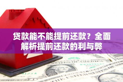 罗定贷款能不能提前还款？全面解析提前还款的利与弊
