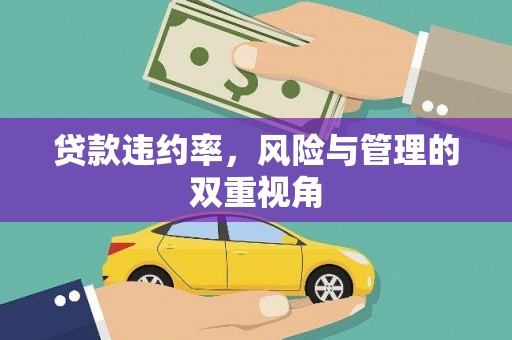 罗定贷款违约率，风险与管理的双重视角
