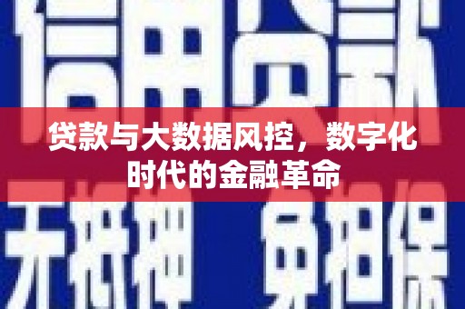 罗定贷款与大数据风控，数字化时代的金融革命
