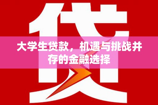 罗定大学生贷款，机遇与挑战并存的金融选择