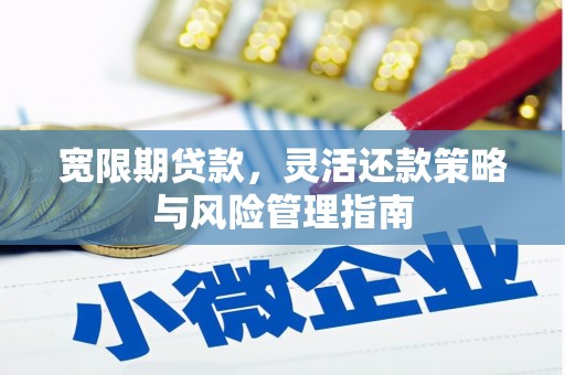 罗定宽限期贷款，灵活还款策略与风险管理指南