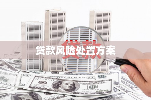 罗定贷款风险处置方案