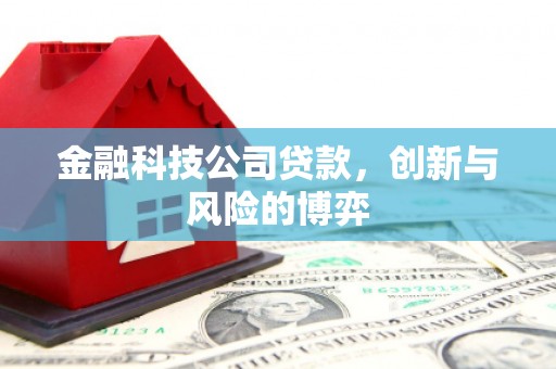 罗定金融科技公司贷款，创新与风险的博弈