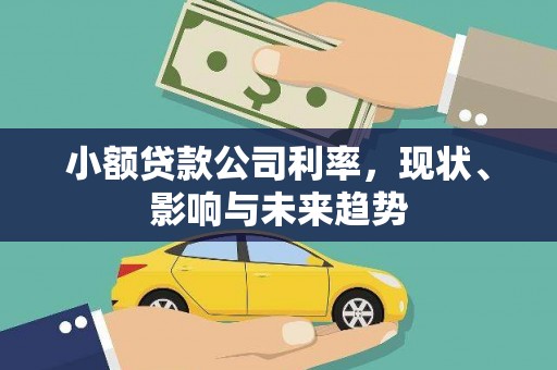 罗定小额贷款公司利率，现状、影响与未来趋势