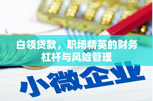 罗定白领贷款，职场精英的财务杠杆与风险管理