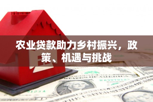 罗定农业贷款助力乡村振兴，政策、机遇与挑战