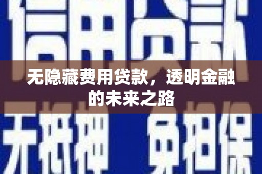 罗定无隐藏费用贷款，透明金融的未来之路