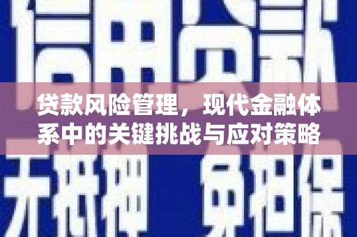 罗定贷款风险管理，现代金融体系中的关键挑战与应对策略