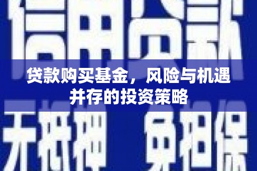 罗定贷款购买基金，风险与机遇并存的投资策略