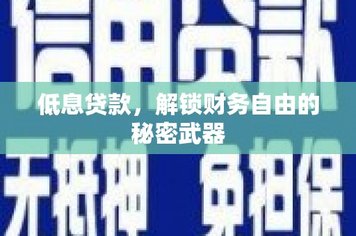 罗定低息贷款，解锁财务自由的秘密武器
