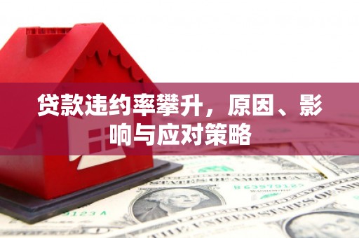 罗定贷款违约率攀升，原因、影响与应对策略
