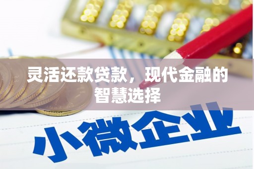 罗定灵活还款贷款，现代金融的智慧选择