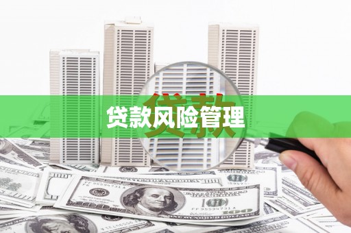 罗定贷款风险管理