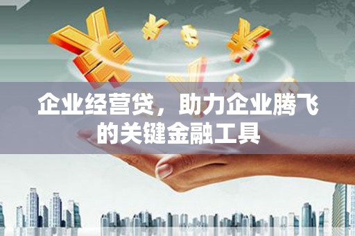 罗定企业经营贷，助力企业腾飞的关键金融工具