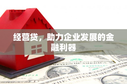 罗定经营贷，助力企业发展的金融利器