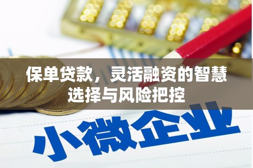 罗定保单贷款，灵活融资的智慧选择与风险把控