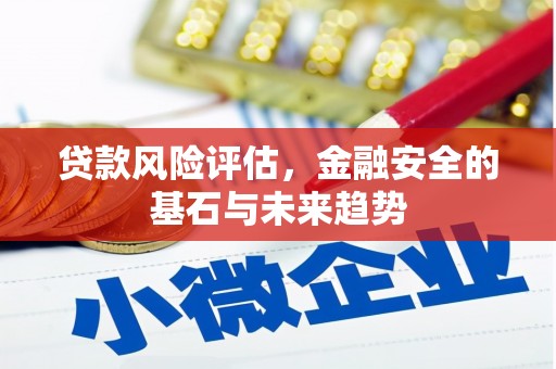 罗定贷款风险评估，金融安全的基石与未来趋势