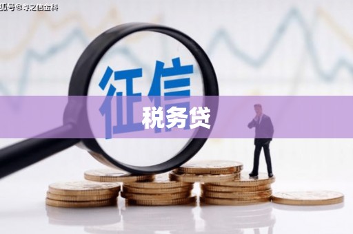 罗定税务贷