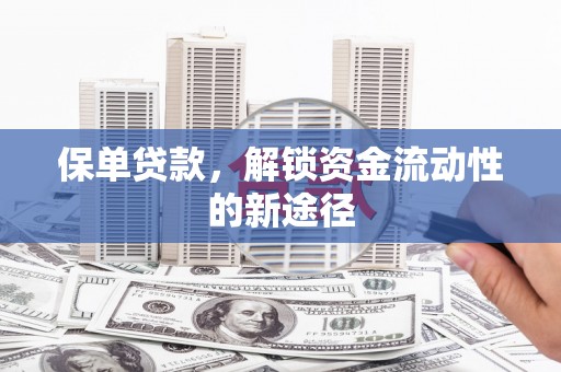 罗定保单贷款，解锁资金流动性的新途径