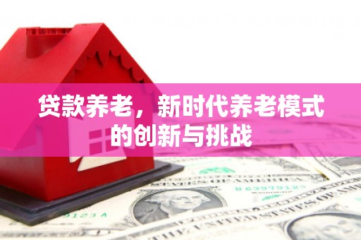 罗定贷款养老，新时代养老模式的创新与挑战