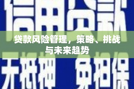 罗定贷款风险管理，策略、挑战与未来趋势