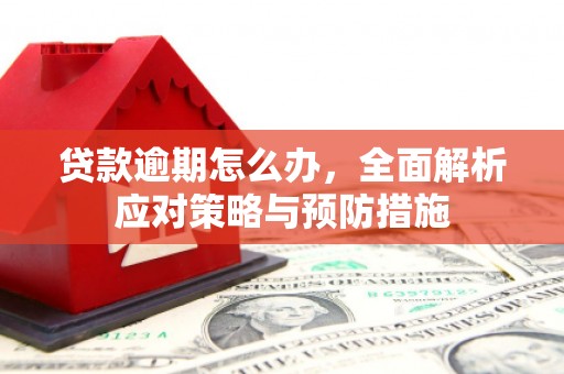 罗定贷款逾期怎么办，全面解析应对策略与预防措施