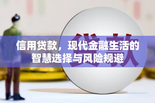 罗定信用贷款，现代金融生活的智慧选择与风险规避