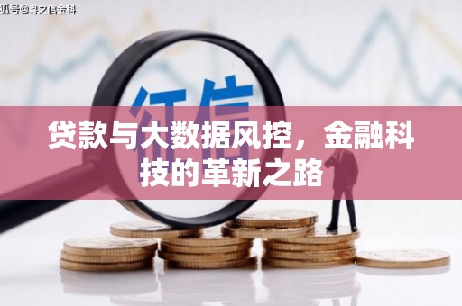 罗定贷款与大数据风控，金融科技的革新之路