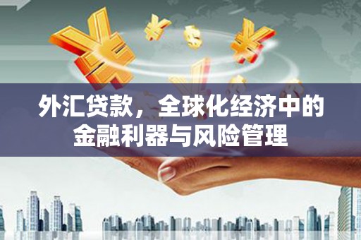 罗定外汇贷款，全球化经济中的金融利器与风险管理