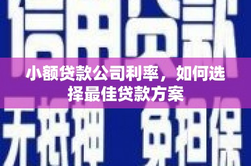 罗定小额贷款公司利率，如何选择最佳贷款方案