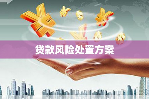 罗定贷款风险处置方案