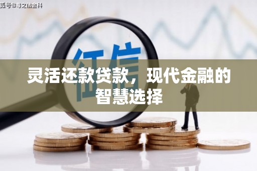 罗定灵活还款贷款，现代金融的智慧选择