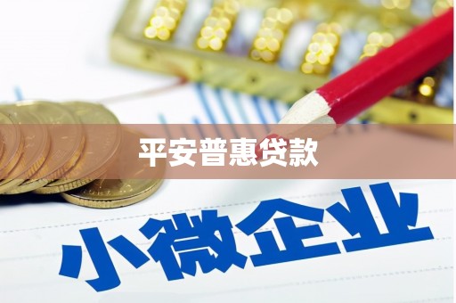 罗定平安普惠贷款