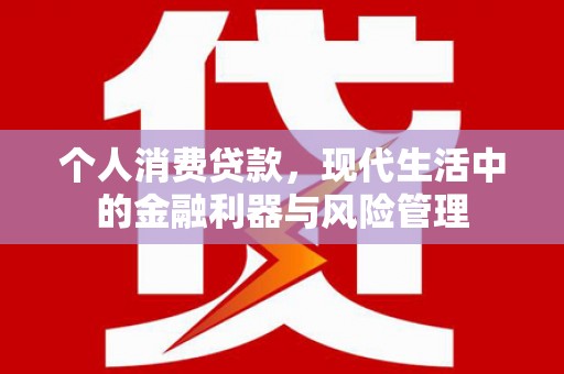 罗定个人消费贷款，现代生活中的金融利器与风险管理