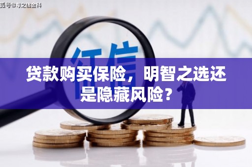 罗定贷款购买保险，明智之选还是隐藏风险？