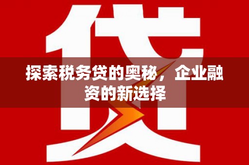 罗定探索税务贷的奥秘，企业融资的新选择