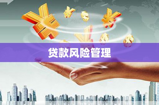 罗定贷款风险管理