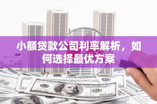 罗定小额贷款公司利率解析，如何选择最优方案