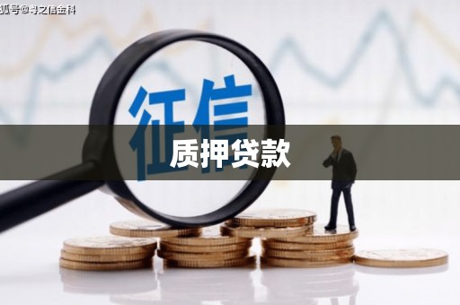 罗定质押贷款