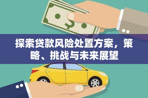 罗定探索贷款风险处置方案，策略、挑战与未来展望