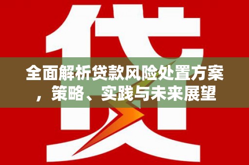 罗定全面解析贷款风险处置方案，策略、实践与未来展望