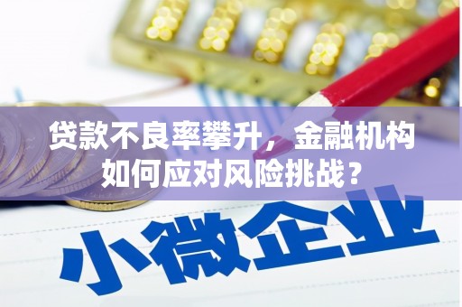 罗定贷款不良率攀升，金融机构如何应对风险挑战？