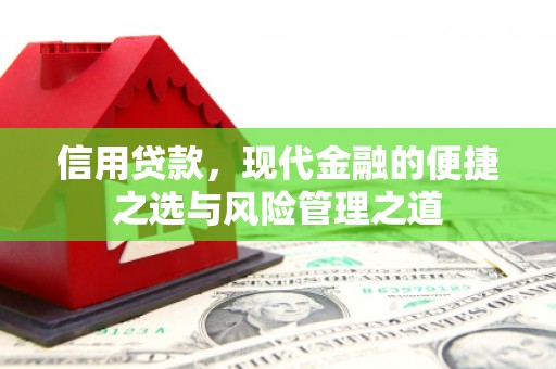 罗定信用贷款，现代金融的便捷之选与风险管理之道