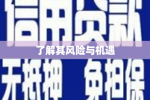 罗定了解其风险与机遇