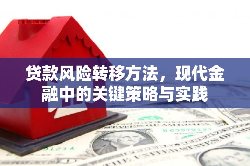 罗定贷款风险转移方法，现代金融中的关键策略与实践