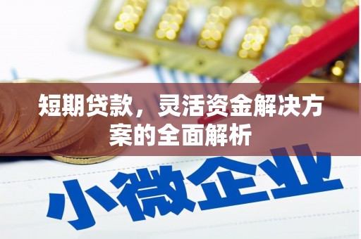罗定短期贷款，灵活资金解决方案的全面解析
