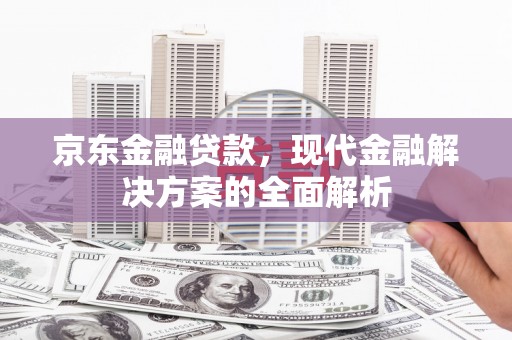 罗定京东金融贷款，现代金融解决方案的全面解析