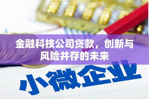 罗定金融科技公司贷款，创新与风险并存的未来